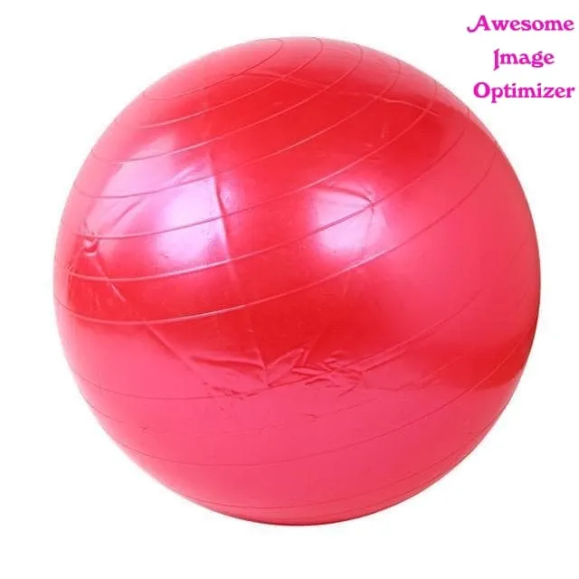 Home Exercise Workout Fitness Gym Yoga Ball