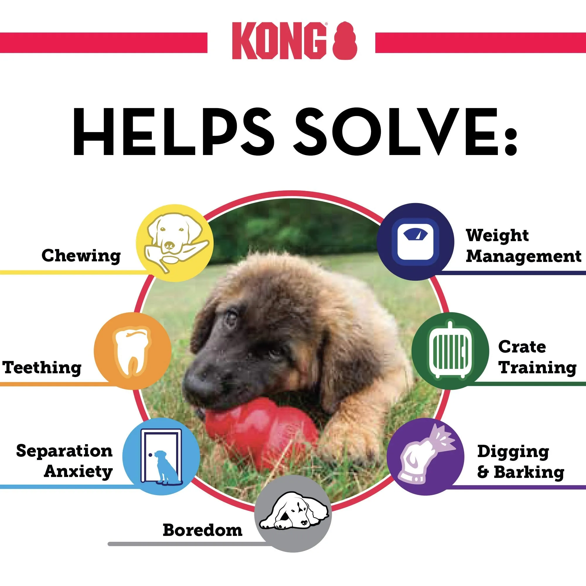 Kong Dog Chew Toy - Medium