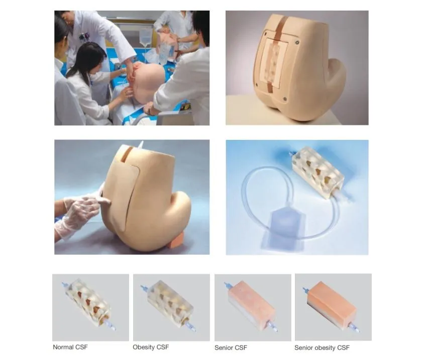 Lumbar Puncture Simulator II