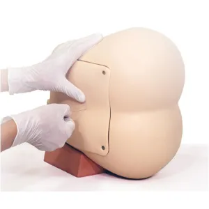 Lumbar Puncture Simulator II