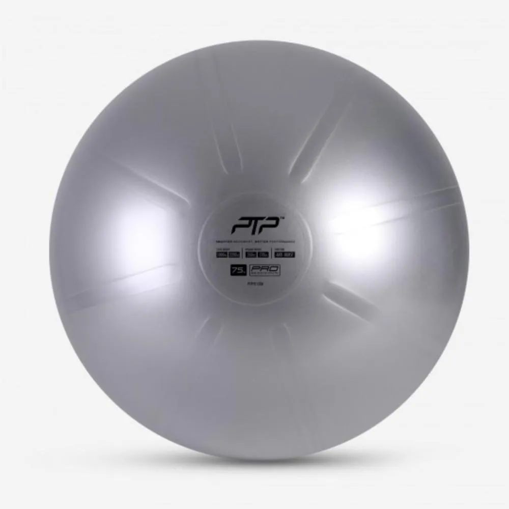 PTPFit Coreball - 75 CM | Steel Grey