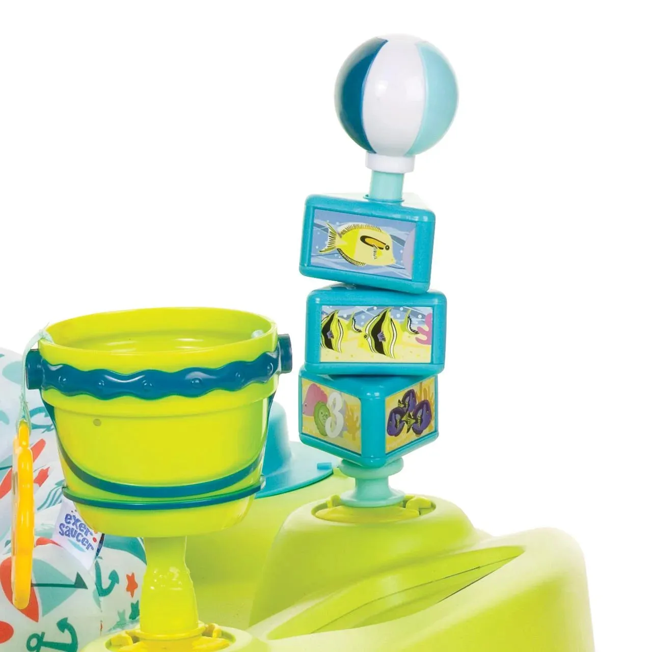 Seaside Splash Activity Center, Unisex