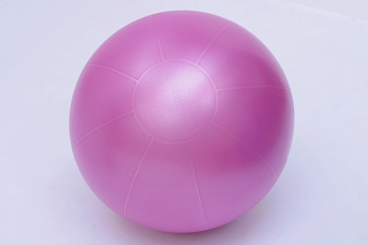 TheraGear Pro Ball